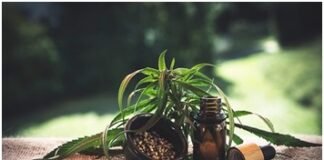 How Can CBD Vape Juice Help You While Tracking Over Mountains?