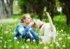 Dog Daycare: What You Need to Know