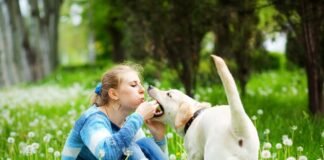Dog Daycare: What You Need to Know