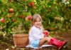 The Very Best Places To Pick Apples With Kids In Freeport Il