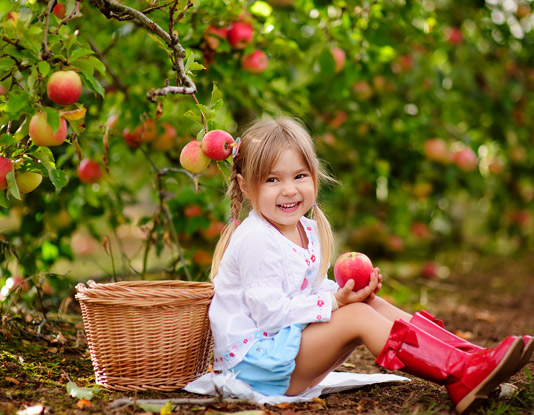 The Very Best Places To Pick Apples With Kids In Freeport Il