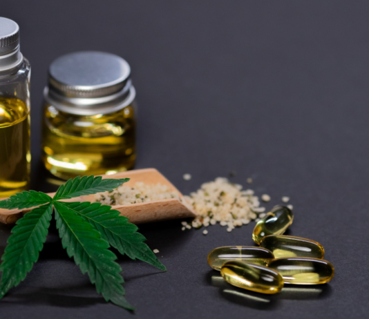 How CBD Can Help Your Pets Live A Happier and Healthier Life CBD