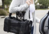 How To Buy The Perfect Pet Carrier