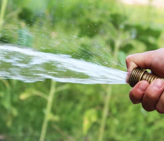 How to Use Garden Hose Splitters for Easier and More Effective Lawn and Garden Watering?