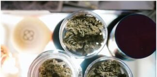 Raw Distillate – Exploring the Benefits of Pure and Potent Cannabis Extracts Raw Distillate