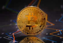 Factors You Should Beware of When Selecting the Best Cryptocurrency for You