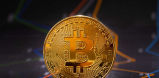 Factors You Should Beware of When Selecting the Best Cryptocurrency for You