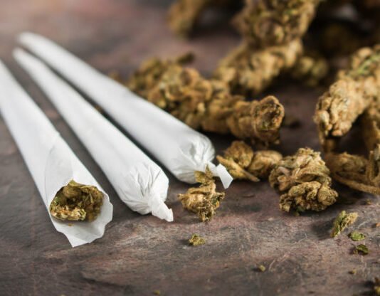 Smoking Kratom Effects On Health: Is It Safe?