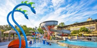 What Makes Texas an Ideal Place for A Family Vacation?