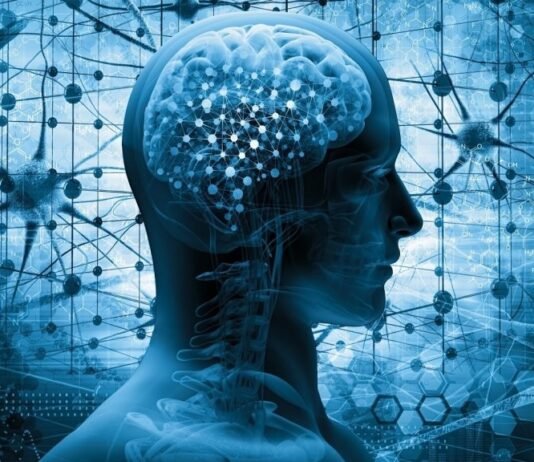 10 Effective Strategies to Improve Your Memorization Skills Memorization Skills