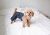 Protect Your Pup: A Guide To Choosing Dog-Friendly Detergents