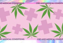Comprehensive Guide: Is CBD Risky?