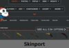 Skinport: Your Gateway to Skin Trading and More Skinport