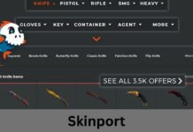 Skinport: Your Gateway to Skin Trading and More Skinport
